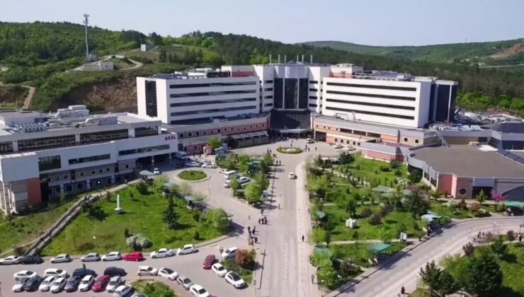 Kocaeli Üniversitesi’nden ses getirecek akademik başarı!