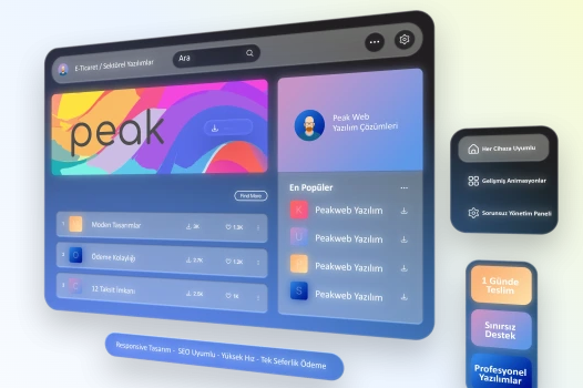 Ankara Web Tasarımında Profesyonel Çözümler: Peak Web’in Farkı